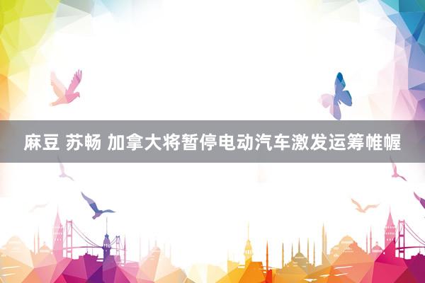 麻豆 苏畅 加拿大将暂停电动汽车激发运筹帷幄