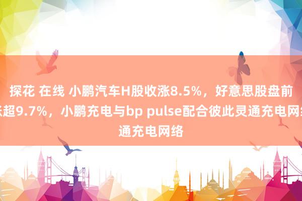 探花 在线 小鹏汽车H股收涨8.5%，好意思股盘前涨超9.7%，小鹏充电与bp pulse配合彼此灵通充电网络