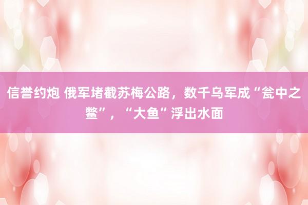 信誉约炮 俄军堵截苏梅公路，数千乌军成“瓮中之鳖”，“大鱼”浮出水面