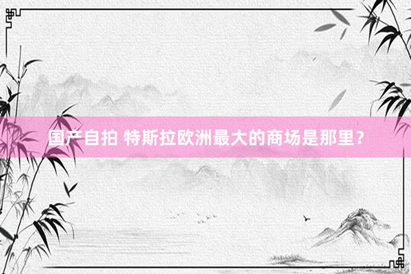 国产自拍 特斯拉欧洲最大的商场是那里？