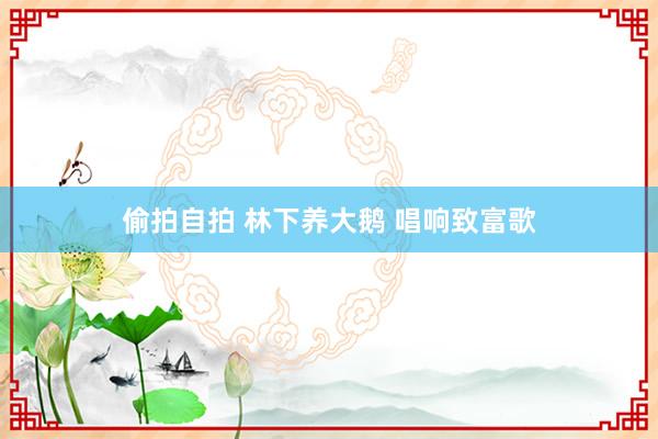 偷拍自拍 林下养大鹅 唱响致富歌