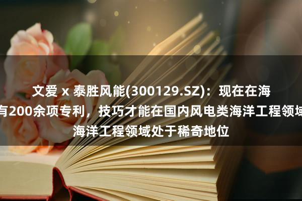 文爱 x 泰胜风能(300129.SZ)：现在在海洋工程板块领有200余项专利，技巧才能在国内风电类海洋工程领域处于稀奇地位