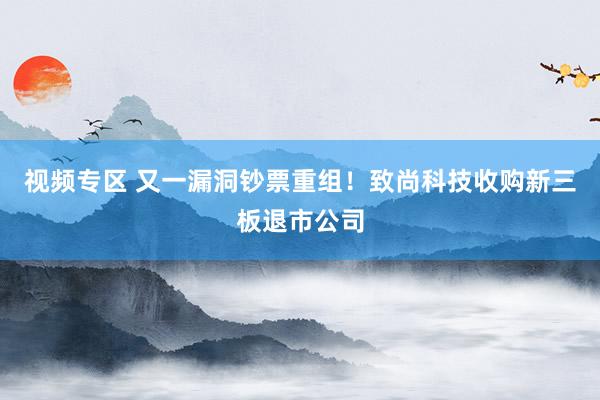 视频专区 又一漏洞钞票重组！致尚科技收购新三板退市公司