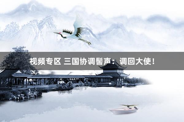 视频专区 三国协调髻声:调回大使!