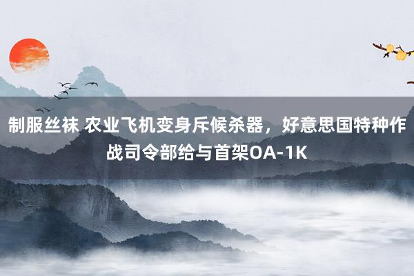 制服丝袜 农业飞机变身斥候杀器，好意思国特种作战司令部给与首架OA-1K