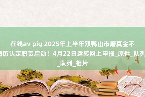 在线av pig 2025年上半年双鸭山市磨真金不怕火阅历认定职责启动！4月22日运转网上申报_原件_队列_相片