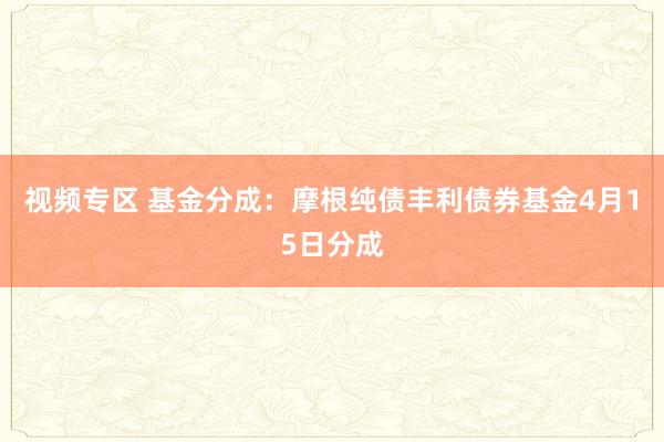 视频专区 基金分成：摩根纯债丰利债券基金4月15日分成