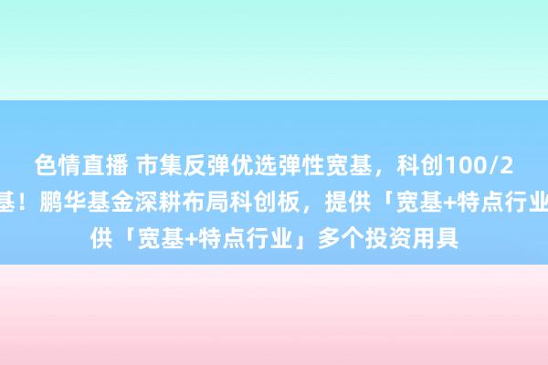 色情直播 市集反弹优选弹性宽基，科创100/200/综指领涨宽基！鹏华基金深耕布局科创板，提供「宽基+特点行业」多个投资用具