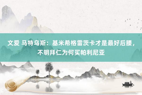 文爱 马特乌斯：基米希格雷茨卡才是最好后腰，不明拜仁为何买帕利尼亚
