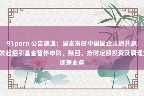 91porn 公告速递：国泰富时中国国企灵通共赢ETF发起招引基金暂停申购、赎回、按时定额投资及调理业务