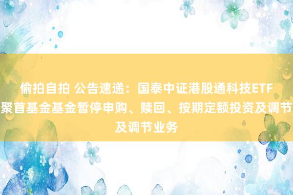 偷拍自拍 公告速递：国泰中证港股通科技ETF发起聚首基金基金暂停申购、赎回、按期定额投资及调节业务
