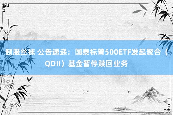 制服丝袜 公告速递：国泰标普500ETF发起聚合（QDII）基金暂停赎回业务