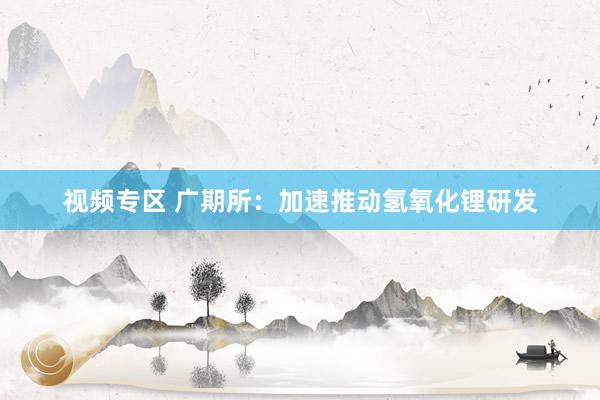 视频专区 广期所：加速推动氢氧化锂研发