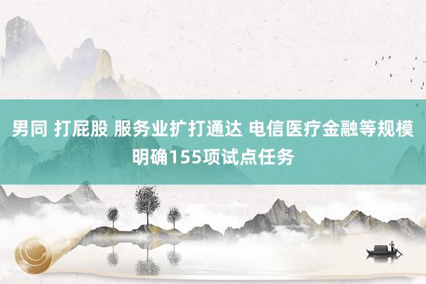 男同 打屁股 服务业扩打通达 电信医疗金融等规模明确155项试点任务