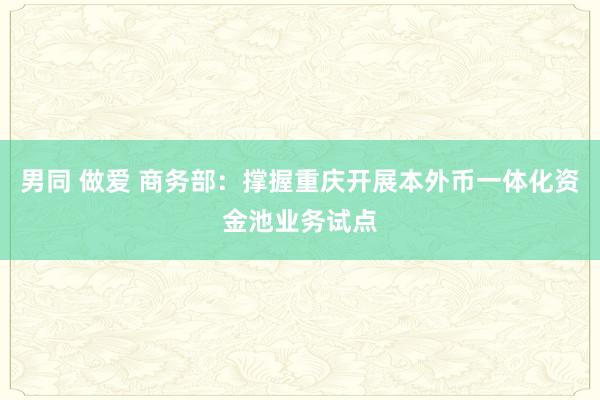 男同 做爱 商务部：撑握重庆开展本外币一体化资金池业务试点