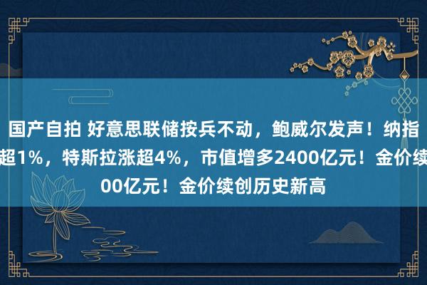 国产自拍 好意思联储按兵不动，鲍威尔发声！纳指、标普均涨超1%，特斯拉涨超4%，市值增多2400亿元！金价续创历史新高
