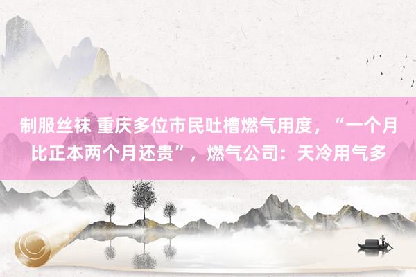 制服丝袜 重庆多位市民吐槽燃气用度，“一个月比正本两个月还贵”，燃气公司：天冷用气多