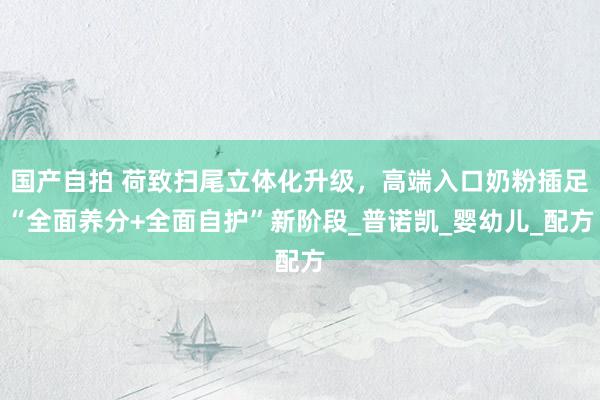 国产自拍 荷致扫尾立体化升级，高端入口奶粉插足“全面养分+全面自护”新阶段_普诺凯_婴幼儿_配方