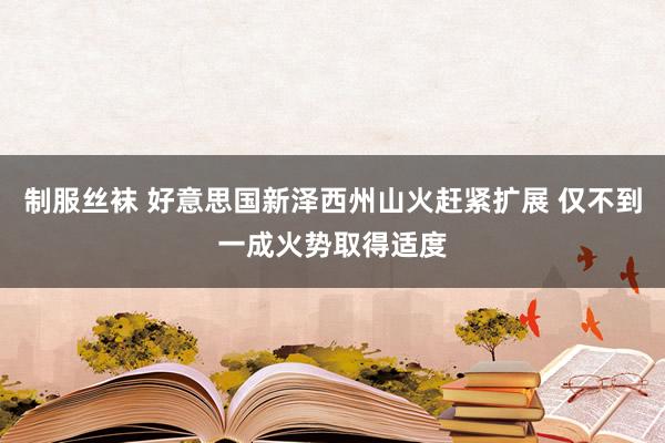 制服丝袜 好意思国新泽西州山火赶紧扩展 仅不到一成火势取得适度