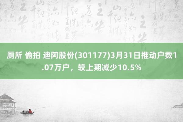 厕所 偷拍 迪阿股份(301177)3月31日推动户数1.07万户，较上期减少10.5%
