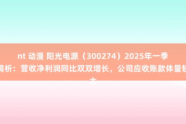 nt 动漫 阳光电源（300274）2025年一季报简析：营收净利润同比双双增长，公司应收账款体量较大